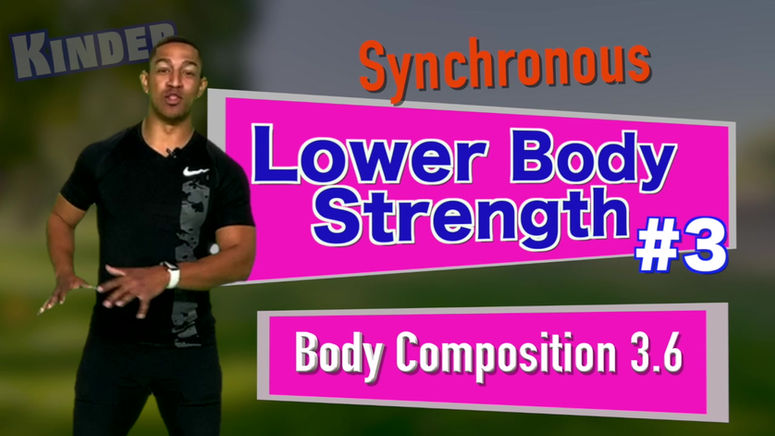 K Synchronous Strength LOWER Body #3 Body Composition 3.6